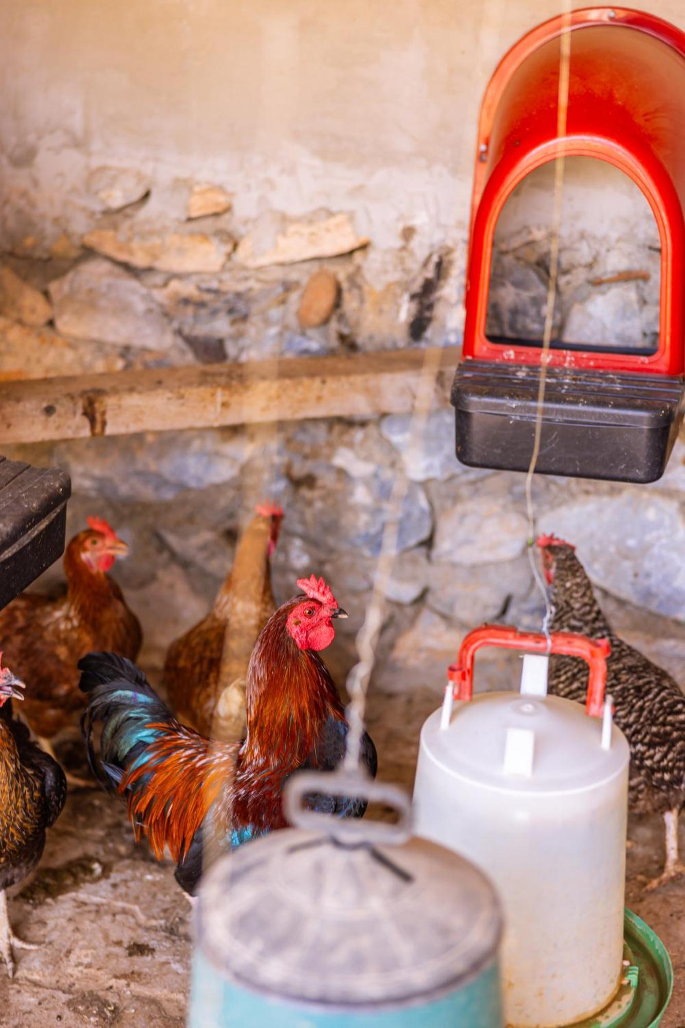 Agach Aparts-Savran Milas Extérieur photo